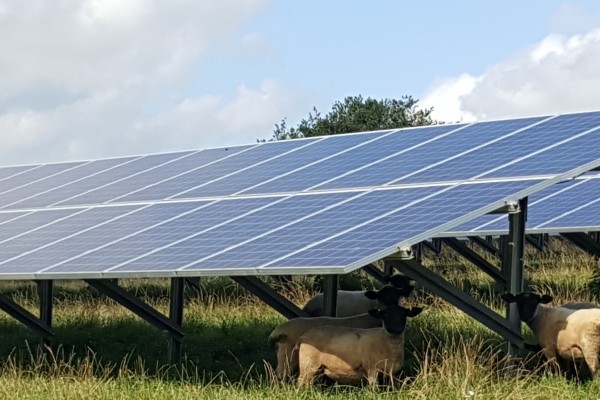 Goresbridge Solar Farm