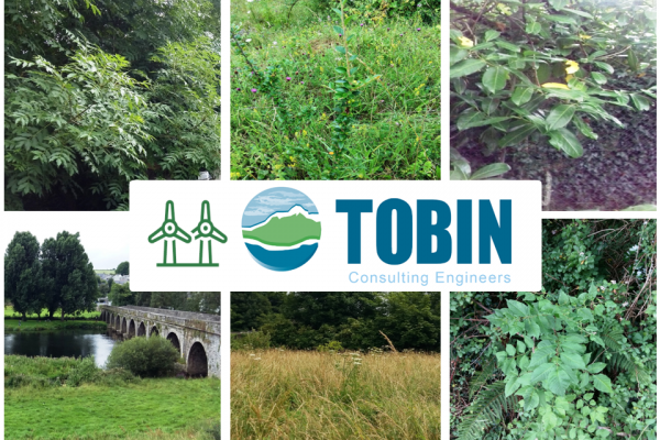 TOBIN: Advice for managing Invasive Alien Plant Species