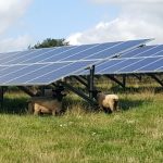 Goresbridge Solar Farm