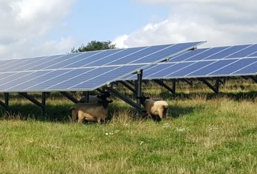 Goresbridge Solar Farm