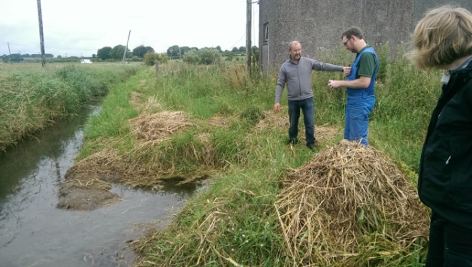 group water schemes